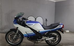 YAMAHA RZ250RR 29L
