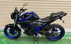 YAMAHA MT-25 RG43J
