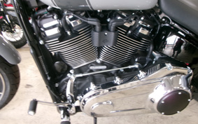 HARLEY FLSB 2024 YMJ