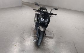YAMAHA GRAND MAJESTY 250 SG15J