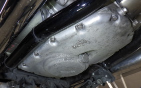 KAWASAKI W800 2025 EJ800E