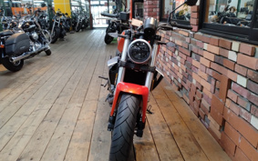 HARLEY X350 2024 W3C