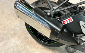 KAWASAKI NINJA ZX-6R 2020 ZX636G