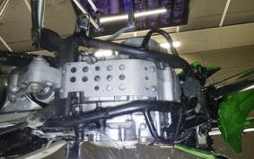 KAWASAKI KLX250 Gen.2 2025 LX250S