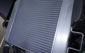 SUZUKI GSX-S125 2019 DL32B