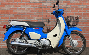 HONDA SUPER CUB110 JA56