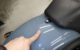 HARLEY FXLRS1920 2024