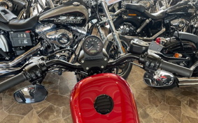 HARLEY XL883N 2020 LE2