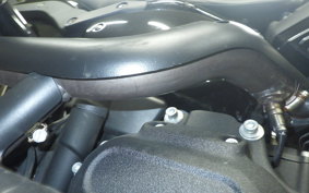 HARLEY FXLRS1920 2022