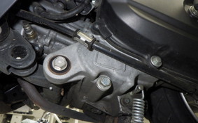 HONDA TACT Basket 2025 AF79