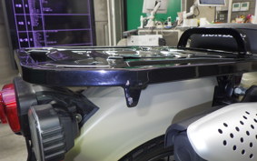 HONDA CT125 HUNTER CUB 2025 JA55