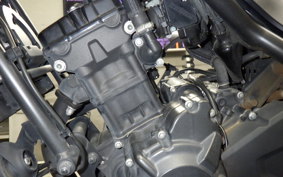 HONDA REBEL 250 2024 MC49