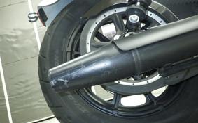 HARLEY XL1200NS 2018