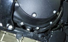 HARLEY XL1200NS 2018