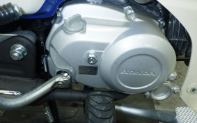 HONDA C110 SUPER CUB