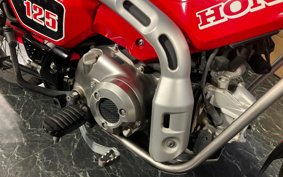 HONDA CT125 HUNTER  CUB  JA55