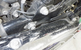 OTHER +ENFIELD ﾒﾃｵ350 2024