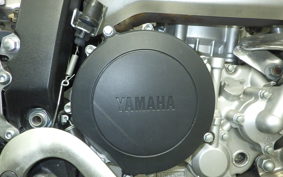 YAMAHA WR250X 2025 DG15J