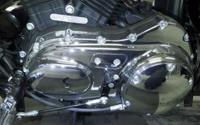 HARLEY XL1200XS 2019