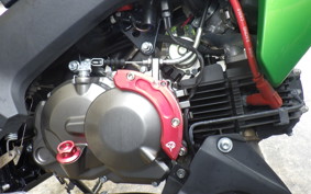 KAWASAKI Z125 PRO 1997 BR125H