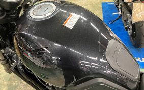 HONDA REBEL 1100 DCT 2022 SC83