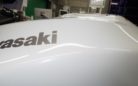 KAWASAKI NINJA ZX-6R A 2025 ZX636J