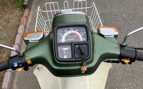 YAMAHA TOWN MATE T50D DX 22F