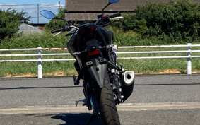 YAMAHA MT-25 RG74J