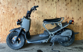 HONDA ZOOMER SPECIAL EDITION AF58