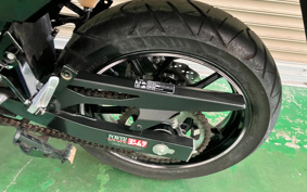 SUZUKI STROM 250ABS DS11A