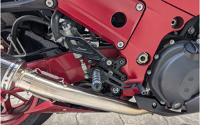 KAWASAKI NINJA ZX-14 2010 ZXNC13