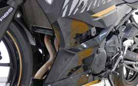 KAWASAKI NINJA 250 EX250P