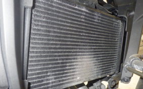 HONDA NX400 2025 NC65