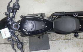 HARLEY RH975 2022