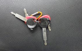 HONDA LEAD 110 2015 JF19