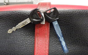 HONDA XR250 2019 MD30