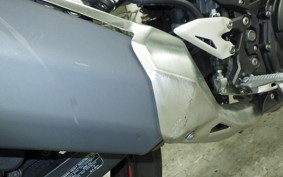 KAWASAKI NINJA 250 EX250P