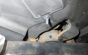 YAMAHA CYGNUS 125 XSR 3