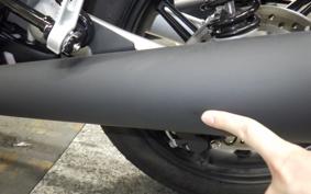 TRIUMPH SPEED TWIN 900 2026
