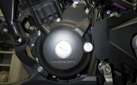 HONDA CB250R 2025 MC52