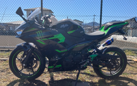 KAWASAKI NINJA 400 2019 EX400G