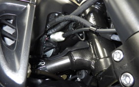 YAMAHA MT-07 2024 RM33J