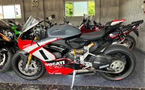 DUCATI PANIGA-REV2 FINAL 2025 1H00