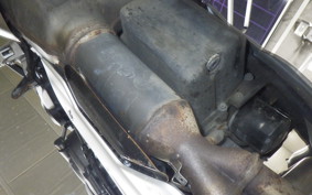 TRIUMPH TRIDENT 660 2024