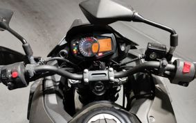 KAWASAKI VERSYS X250 TOURER LE250D