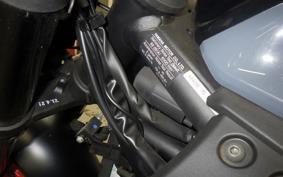 YAMAHA MT-25 A 2006 RG43J