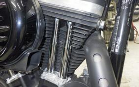 HARLEY XL883N 2017