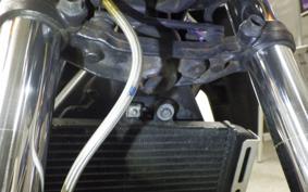 HONDA HORNET 250 2001 MC31