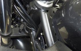 KAWASAKI NINJA 250 EX250P