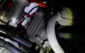 HONDA GYRO CANOPY 2021 TA03